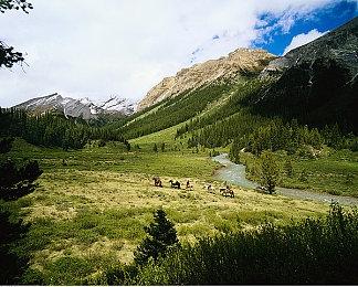 《拳皇15》新角色伊丝拉PV 神秘美少女登场